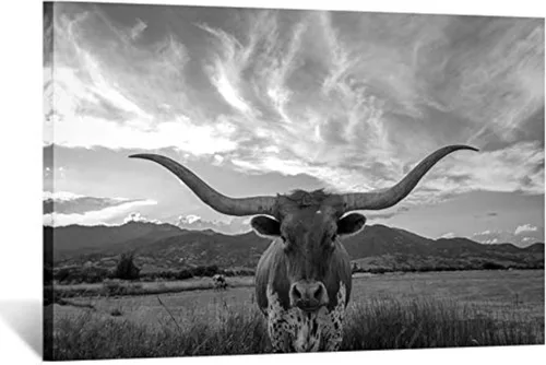 KREATIVE ARTS Lienzo de animales de Texas en blanco y negro, arte de pared, ganado de las tierras altas con cuernos largos, imagen de cuerno largo