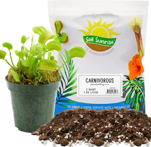 Soil Sunrise Mezcla de tierra para macetas de plantas carnívoras (2 cuartos de galón), aditivo ideal para trampas para moscas Venus, rocíos solares