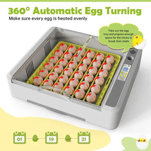 Miniatura 4 de Incubadora de huevos para incubar pollos, girador automático de 36 huevos con control de temperatura y humedad, vista panorámica multifuncional