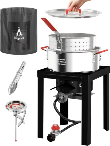Freidora de pescado de propano de 10 cuartos de galón con tapa, quemador de propano de 55,000 BTU, olla para exteriores con cestas, tapa, termómetro