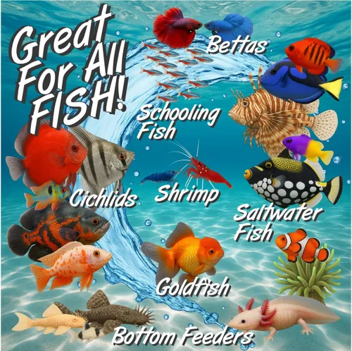Miniatura 5 de Super Cichlids Gusanos negros de California liofilizados, totalmente naturales, perfectos para acuarios marinos y tropicales, alto contenido