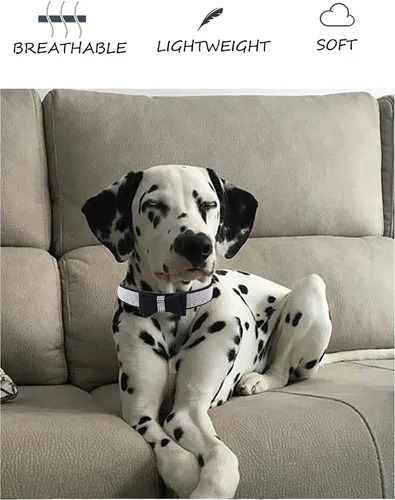Miniatura 5 de Collar de perro con diamantes de imitación para perros pequeños, medianos y grandes, collares ajustables de cuero gamuza con brillantes para perros