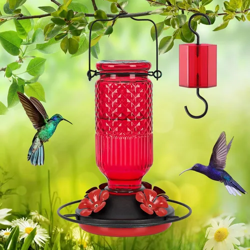 Miniatura 8 de FEED GARDEN Comedero de vidrio para colibríes para colgar al aire libre, comedero de colibríes de 16 onzas con 4 puertos de alimentación con Rojo