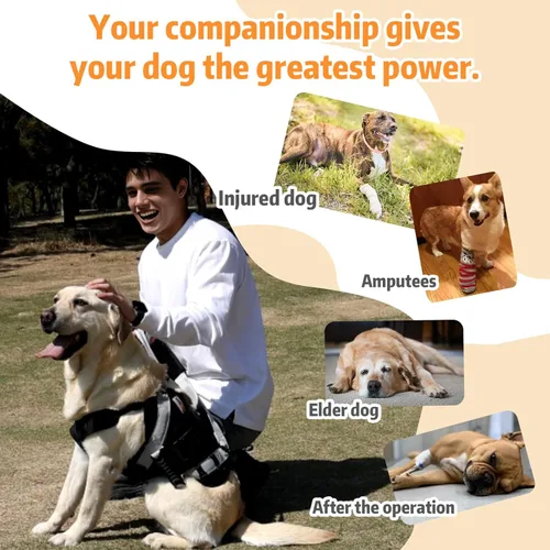 Miniatura 5 de Arnés de elevación para perros grandes, cabestrillo de cuerpo completo con asa, para subir escaleras/apoyo en las patas traseras/lesiones