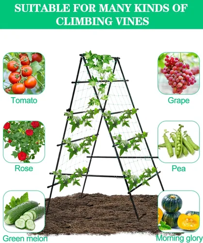 Miniatura 5 de Kalolary - Enrejado de jardín de 6 x 3 pies para plantas trepadoras, enrejado de cultivo de pepino de jardín con marco A a prueba de óxido, soporte