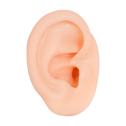 Miniatura 15 de Modelo de cejas de silicona, modelo de piezas del cuerpo de práctica de piercing, modelo de exhibición de cejas para práctica de piercing