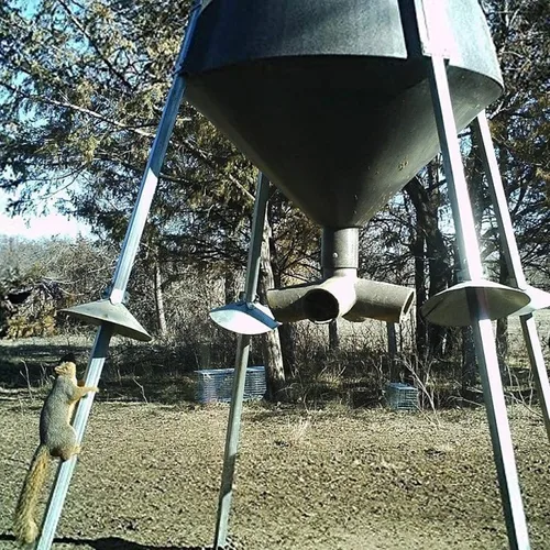 Miniatura 6 de BOSS Buck Varmint Embudos duraderos y ligeros de acero galvanizado protectores de ardilla con tornillos autorroscantes para alimentador