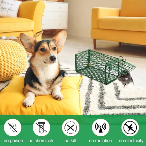Miniatura 4 de Qualirey Trampa para Ratas Humanitaria de 4 Piezas, Trampa de Jaula para Ardillas Listadas y Ardillas, Trampa Plegable para Roedores para Animales