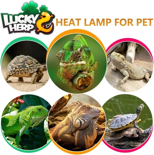 Miniatura 7 de LUCKY HERP Bombilla de calor de vapor UVA+UVB de 160 vatios, lámpara de alta intensidad autobalastada para reptiles y anfibios, lámpara solar