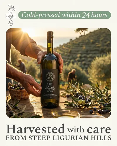 Miniatura 6 de ROI Aceite de oliva italiano virgen extra Ligurian, cosecha temprana de primera calidad, prensado en frío, alto polifenol, AOVE de origen único