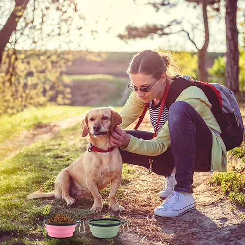 Miniatura 4 de SLSON Comedero plegable para mascotas, paquete de 2 cuencos para perros con tapas de cubierta, cuenco portátil plegable para agua para gatos