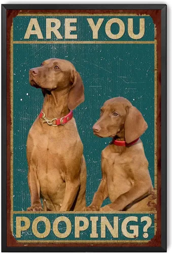LIUAXICIA Letreros divertidos de hojalata con texto en inglés "Dog are You Pooping", decoración de pared para baño, baño, decoración para amantes de