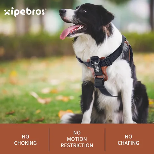 Miniatura 5 de Arnés para perro, arnés para perro sin tirones con almohadillas lesthe, ideal para pasear y entrenar perros. Arnés para perro fácil de caminar