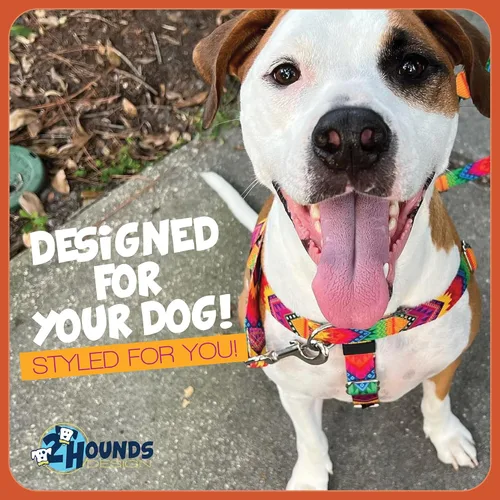 Miniatura 7 de 2 Hounds Design - Arnés para perro (libertad sin tirar), control ajustable, suave y cómodo para pasear perros fácilmente, para perros pequeños, Azul