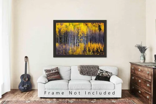 Miniatura 5 de Forest Photography Print (Not Framed) Picture of Aspen Trees Appearing as Reflection on Side of Mountain on Autumn Day at Maroon Bells Colorado