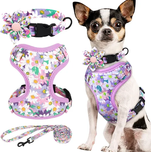 Miniatura 18 de Beirui Collares, arneses y correas lindos para perritas, conjunto - Collar y correa ajustable para perros con flores - Arnés de malla suave