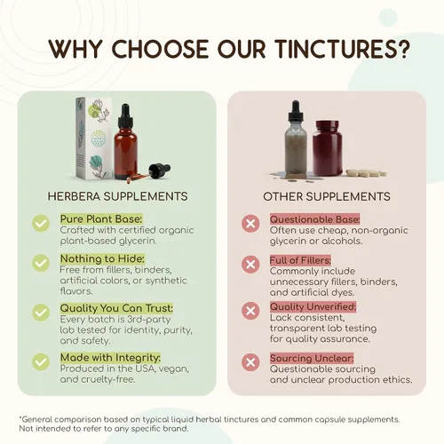 Miniatura 7 de HerbEra Herbal Cleanse Tintura Orgánica Sin Alcohol Fórmula de Desintoxicación y Limpieza, Suplemento de Extracto Hierba de Ajenjo Orgánica