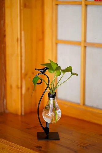 Miniatura 5 de Terrario de plantas, jarrones hidropónicos para decoración del hogar, moderno soporte creativo para terrario de pájaros, regalos ideales