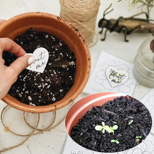 Miniatura 2 de 50 Papel de Flores Silvestres Plantables, Recuerdos Ecológicos en Forma de Corazón para Baby Shower para Invitados - Regalos Plantables para Bodas