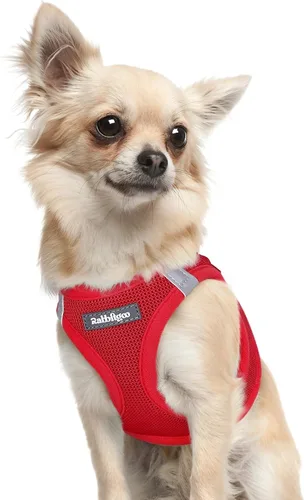 Miniatura 13 de rabbitgoo Arnés para perro pequeño, chaleco de malla suave para cachorros con hebilla de seguridad, arnés reflectante transpirable para mascotas