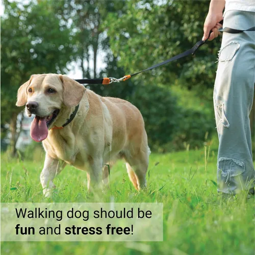 Miniatura 5 de SVD.PET Collar de punta para perro para entrenamiento sin tirones, hebilla de liberación rápida ajustable para perros pequeños, medianos y grandes