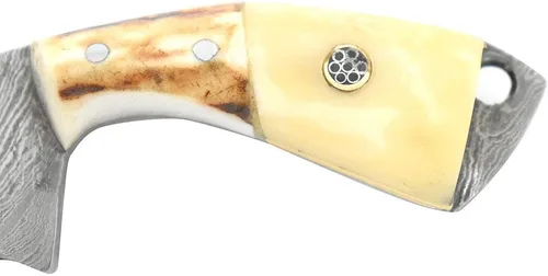 Miniatura 5 de Colección Real Damascu-Blade Cuchilla Fija Mini Chef Cleaver