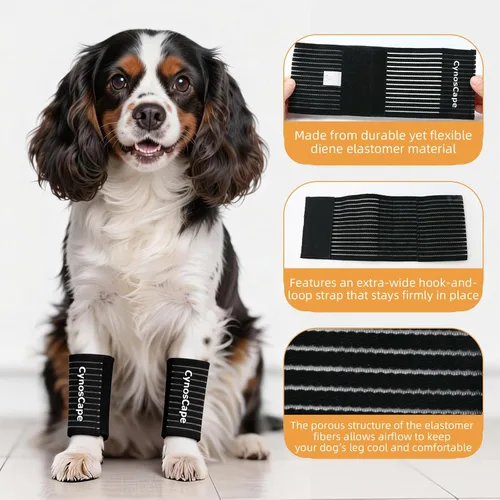 Miniatura 4 de Soporte de pierna de perro, envolturas de soporte de compresión negras para patas delanteras o traseras (negro, pequeño)