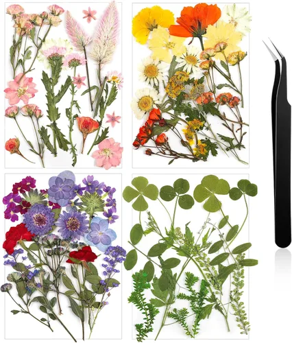 Miniatura 15 de Nuanchu Flores secas prensadas negras para manualidades, flores secas góticas, flores silvestres prensadas naturales a granel con pinzas para molde