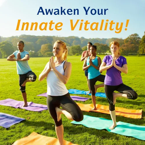 Miniatura 8 de Innate Vitality Suplemento de aceite de pescado Omega 3, 2000 mg de aceite de pescado por porción, EPA 600 mg + DHA 400 mg con vitaminas D3 K2