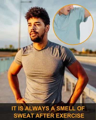 Miniatura 3 de Milin Naco ropa interior de manga larga fresca seca con compresión para hombre paquete de 3