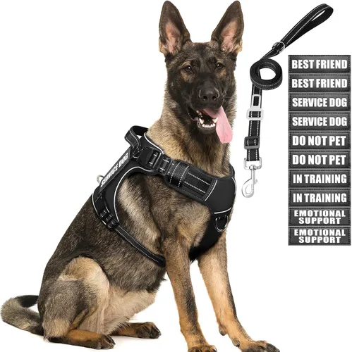 Miniatura 21 de Juego de arnés táctico para perros y correa para perros grandes, chaleco de perro de servicio resistente sin tirones y 10 parches con cinturón