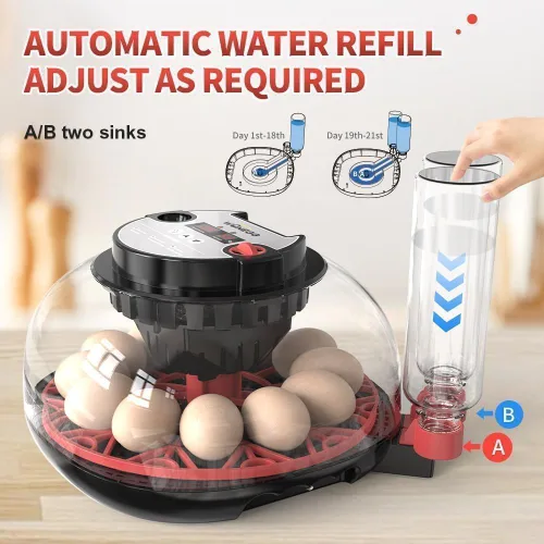 Miniatura 3 de Incubadora Digital de 12 Huevos con Volteador Automático de Huevos, Control de Humedad y Ovoscopio LED para Incubar Pollos, Patos, Codornices y Más