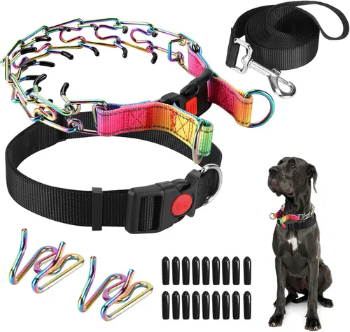 Miniatura 25 de Collar de entrenamiento de puntas con puntas cómodas y hebilla de cierre rápido – Collar de pellizco para perro con cubierta de nailon
