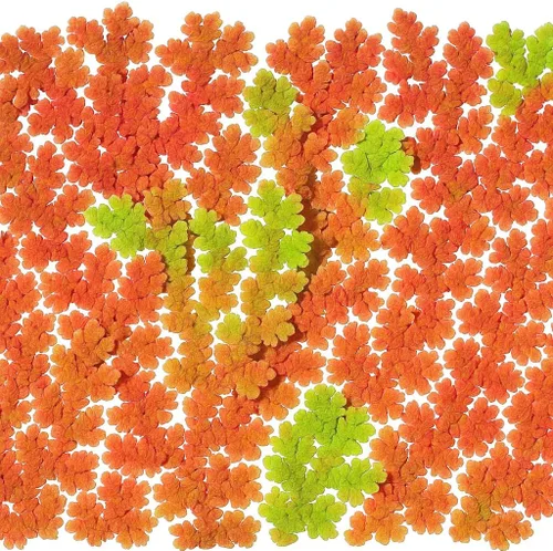 Miniatura 2 de Azolla caroliniana 10 + Plantas Vivas Flotantes Planta de Estanque Mosquito Helecho Agua Terciopelo Hada Musgo Acuario Estanques al aire libre