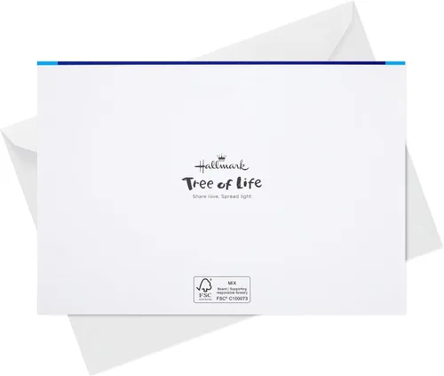 Miniatura 8 de Hallmark Tarjetas de Hanukkah del árbol de la vida en caja (40 tarjetas y sobres) Paloma azul y plateada Tarjetas de Hanukkah Paloma Azul y Plata