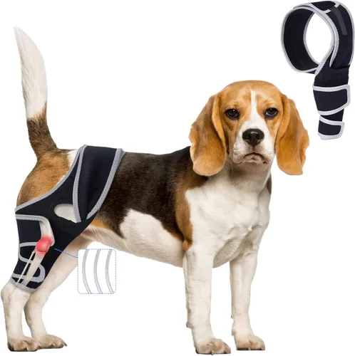 Miniatura 7 de Rodillera para perro para pierna trasera desgarrada del ligamento cruzado anterior, tirantes ajustables para piernas de perro, patas traseras