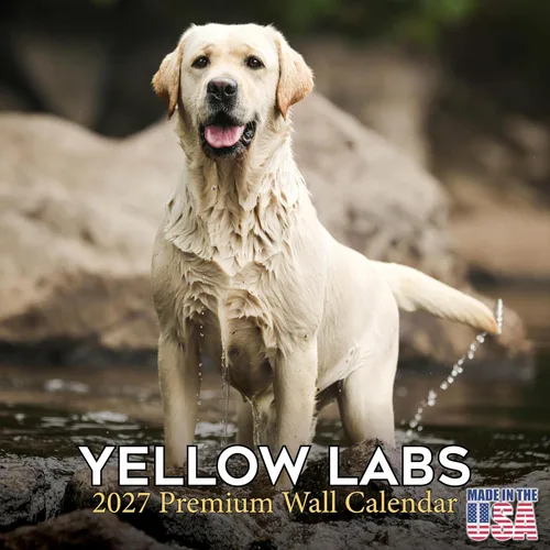 Miniatura 65 de Calendario 2025 2026 de cachorros Cocker Spaniel - Calendario mensual de pared de raza de perro - 12" x 24" abierto - Papel grueso sin sangrado