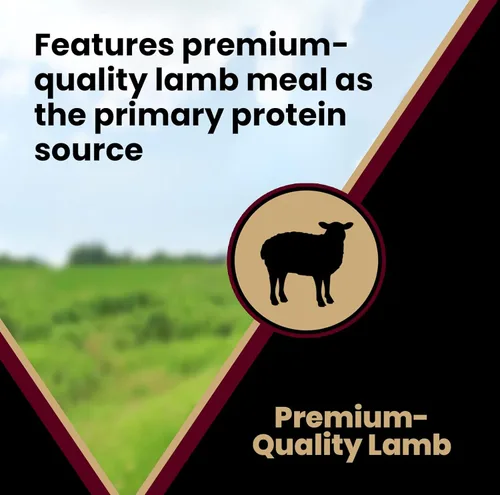 Miniatura 5 de VICTOR Super Premium - Alimento para perros – Fórmula de harina de cordero y arroz integral – Alimento seco para perros sin gluten para todos