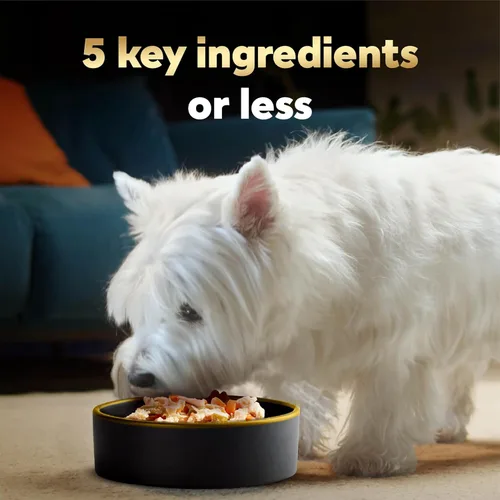 Miniatura 3 de Cesar, comida húmeda para perros de fabricación simple, 37 g. Empaque de 10 unidades.