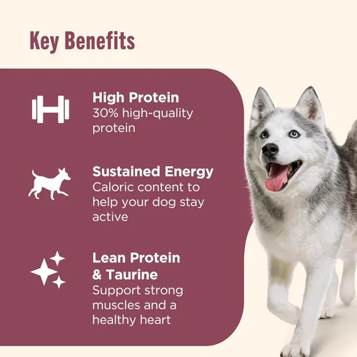 Miniatura 4 de Rachael Ray Nutrish – PEAK alimento seco para perros, rico en nutrientes, sin granos