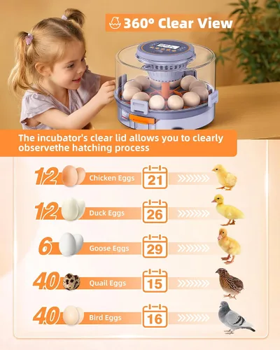 Miniatura 3 de Incubadoras para incubar huevos, 12 incubadoras de pollo con giro automático de huevos y control de humedad, suministros acogedores con vela