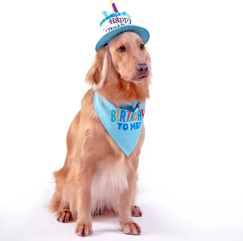 Miniatura 8 de Juego de sombrero y bandana de cumpleaños para perros grandes, sombreros ajustables para fiesta de cumpleaños para perros grandes, decoración