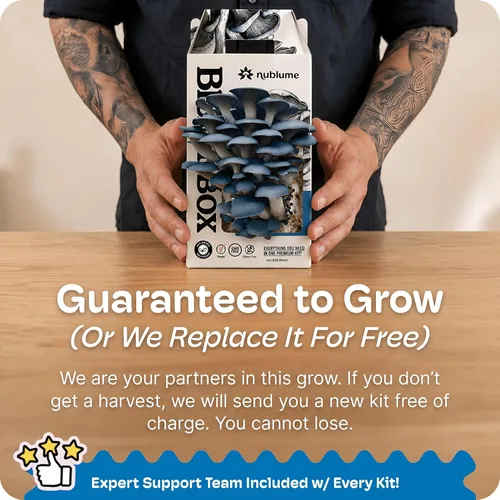 Miniatura 6 de BloomBox Kit de Cultivo de Setas Ostra Azules – Listo para Fructificar Regalo de Jardinería Interior – Tronco de Spawn Orgánico para Hongos Frescos