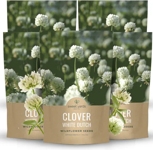 Miniatura 8 de Trébol holandés blanco, bolsa a granel de 1/4 libra, 150,000 semillas de flores para plantar - Trifolium repens