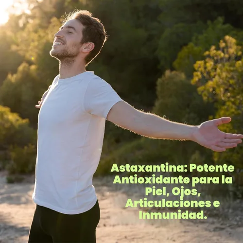 Miniatura 4 de DEAL SUPPLEMENT Astaxantina 24 mg por porción (12 mg por cápsula), 120 cápsulas blandas – Microalgas de doble potencia – Suplementos antioxidantes