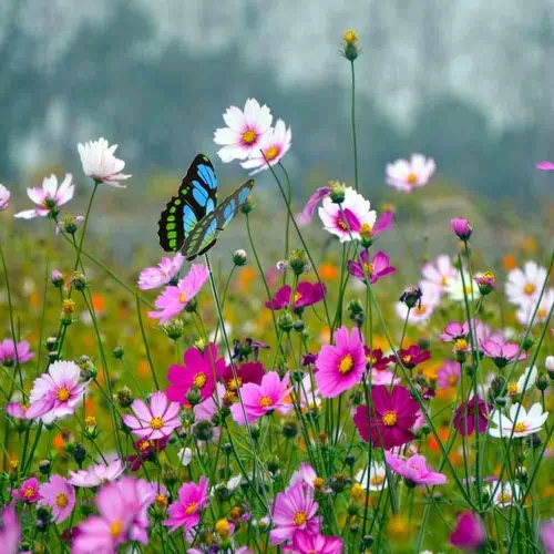 Miniatura 7 de 100 estacas de mariposa para exteriores, maceta, maceta, cama, decoración de jardín, mariposas, decoraciones de Navidad, mariposas artificiales