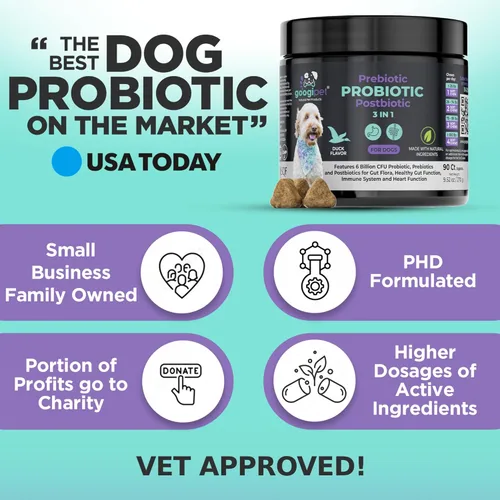 Miniatura 2 de Googipet Probiotics for Dogs Digestive Health – Prebióticos y probióticos masticables para tratamiento de infección por levaduras de perro + enzimas