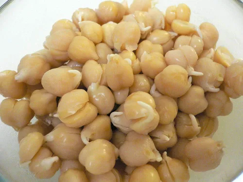 Miniatura 5 de Semillas de mezcla de proteínas de Peyton's para germinar microverdes, 8 onzas, marca "COOL BEANS n SPROUTS", un superalimento lleno