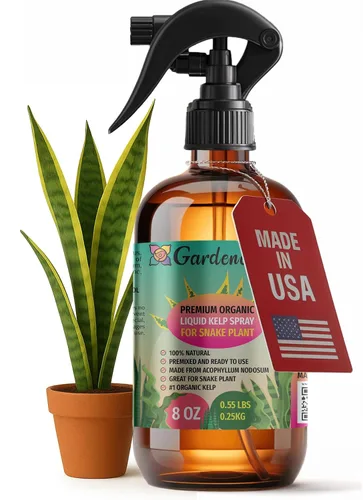 Miniatura 35 de GARDENERA Spray orgánico profesional de algas marinas para plantas AGLAONEMA – 8 oz – Rocío fertilizante de algas marinas y algas marinas totalmente