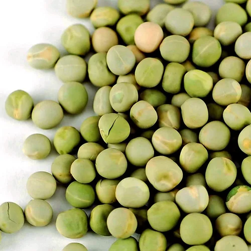 Miniatura 2 de Handy Pantry Brand - Semilla de germinación de guisantes verdes, 8 onzas, guisante verde para brotes, plantación de jardín, cocina, sopa